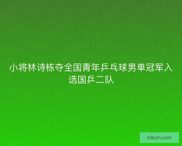 小将林诗栋夺全国青年乒乓球男单冠军入选国乒二队