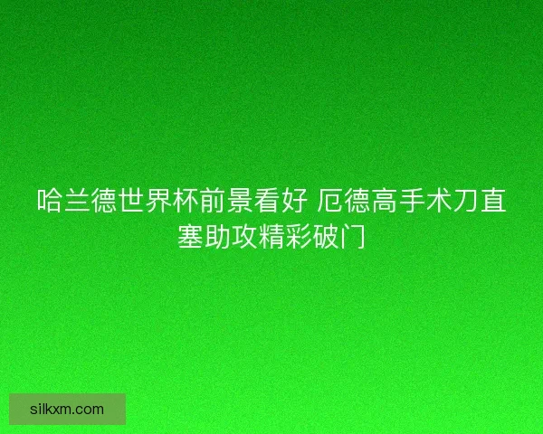 哈兰德世界杯前景看好 厄德高手术刀直塞助攻精彩破门