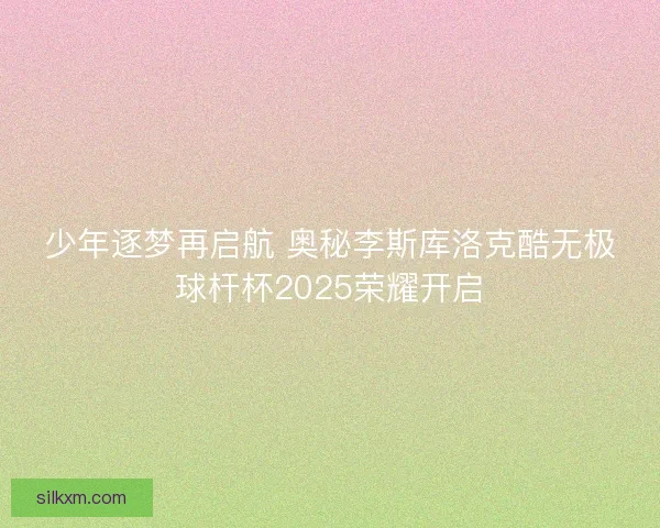 少年逐梦再启航 奥秘李斯库洛克酷无极球杆杯2025荣耀开启
