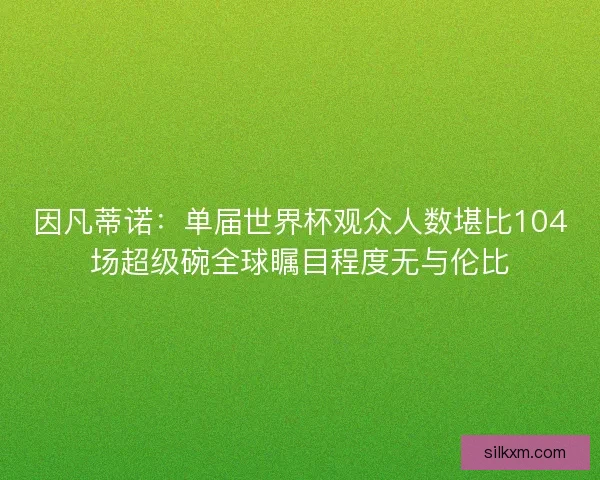 因凡蒂诺:单届世界杯观众人数堪比104场超级碗全球瞩目程度无与伦比 因凡蒂诺:单届世界杯观众人数堪比104场超级碗全球瞩目程度无与伦比